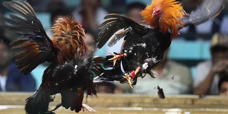 Các lưu ý quan trọng khi thực hiện rút tiền